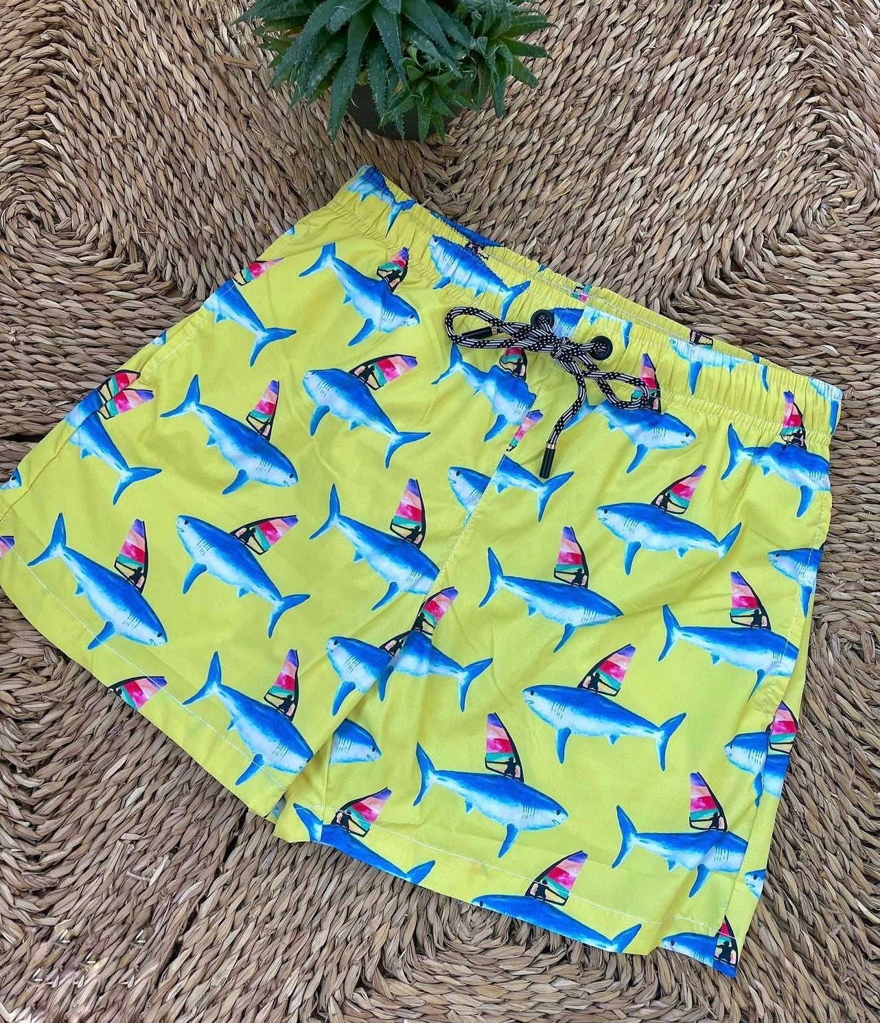 SHARK swimwear